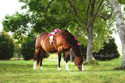 Good Morning Baby Girl Horse Book by Candice Ballard